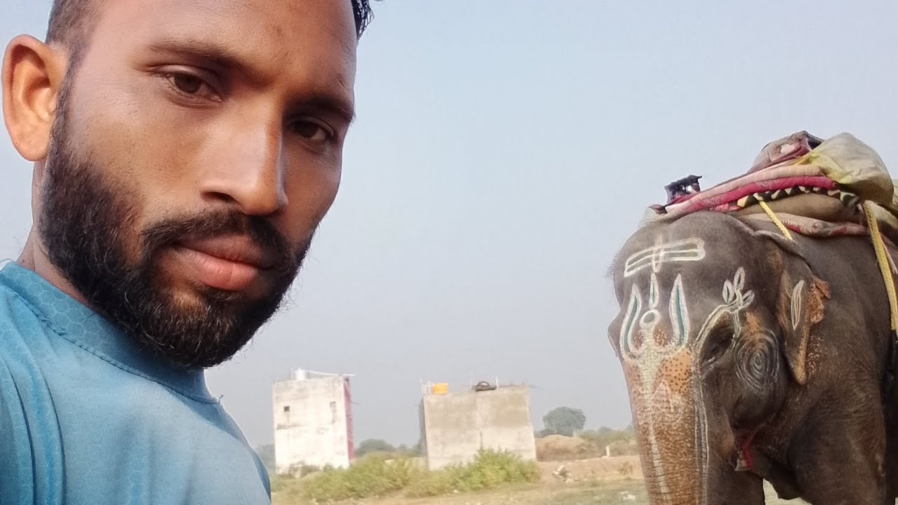 हाथी के मेकप का खर्चा कितना ????? जो भी चैनल को सब्सक्राइब करें गणेश जी उनकी मनोकामना पूर्ण करें 