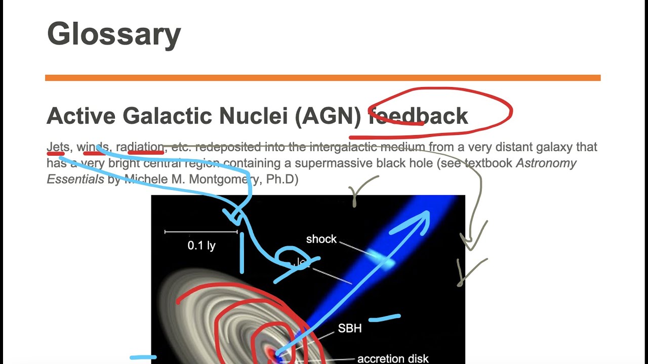 AGN feedback