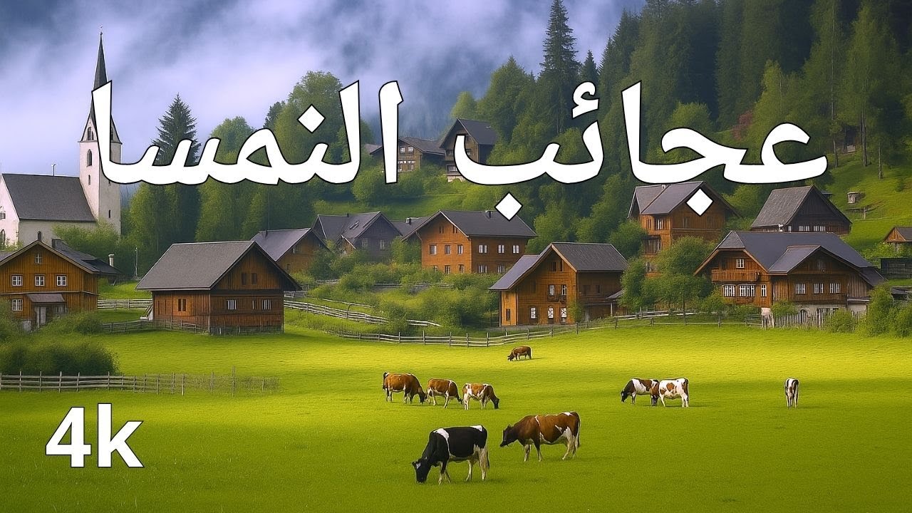 عجائب النمسا _ أجمل الأماكن في النمسا _ فيديو سفر 4K