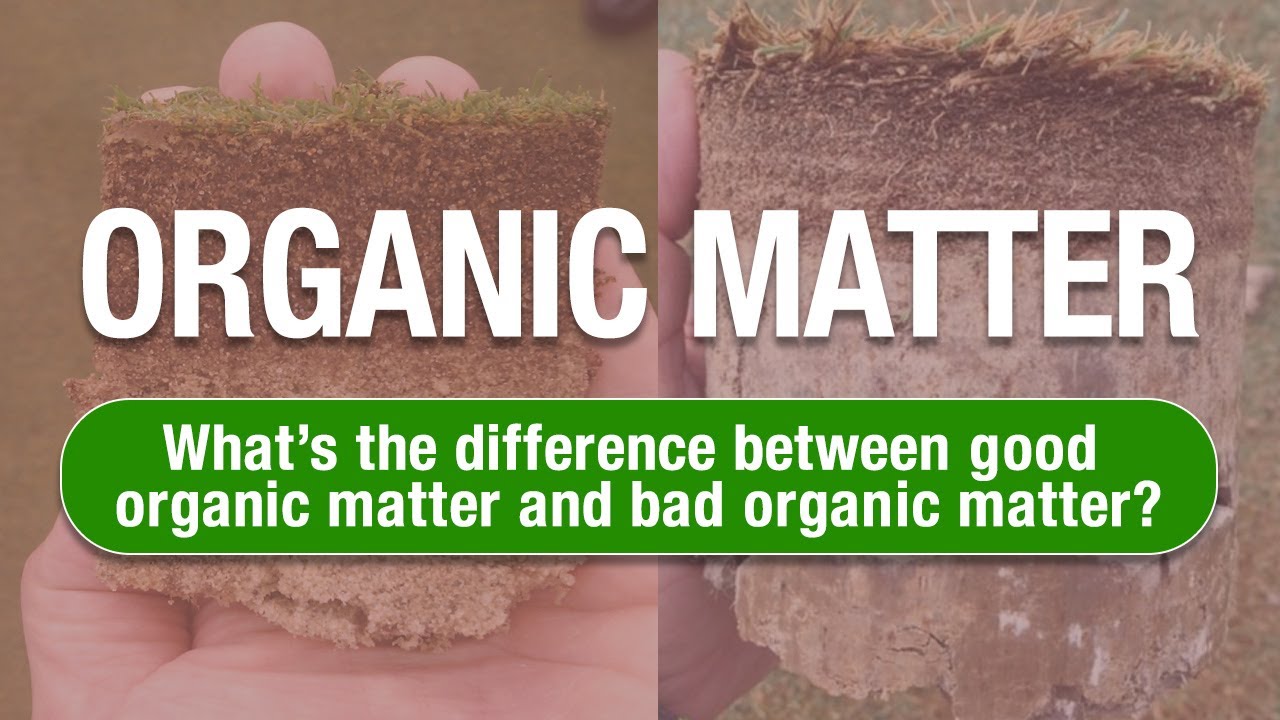 EW 2 MinuteTurf Talk - Do you have good organic matter?