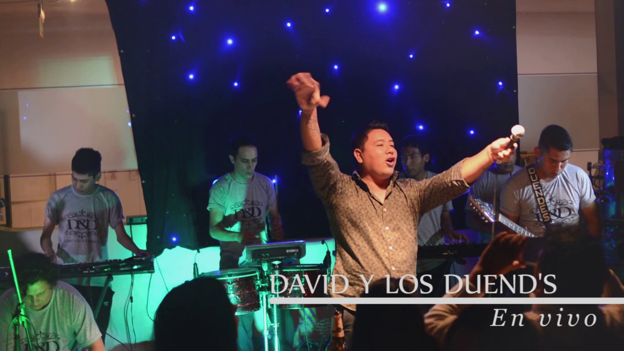 david y los duendes en el espinillo 1