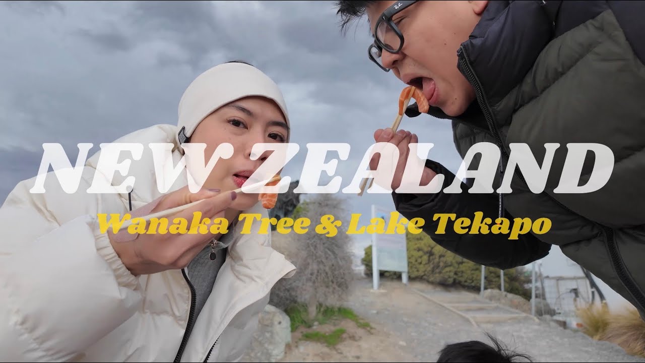 Wanaka Tree & Lake Tekapo | Sashimi stop at Mt. Cook Alpine Salmon Shop