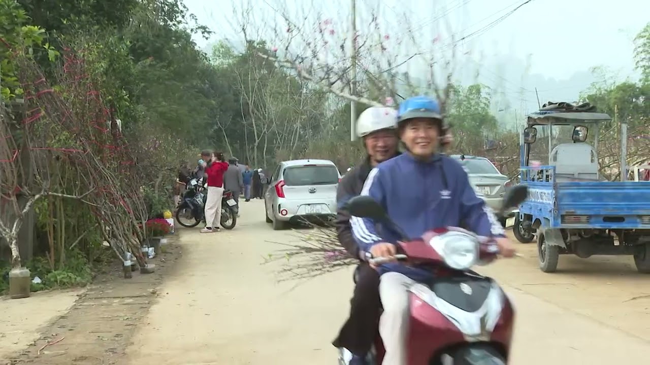 Thị trường hoa trước Tết nhộn nhịp, sức mua tăng cao