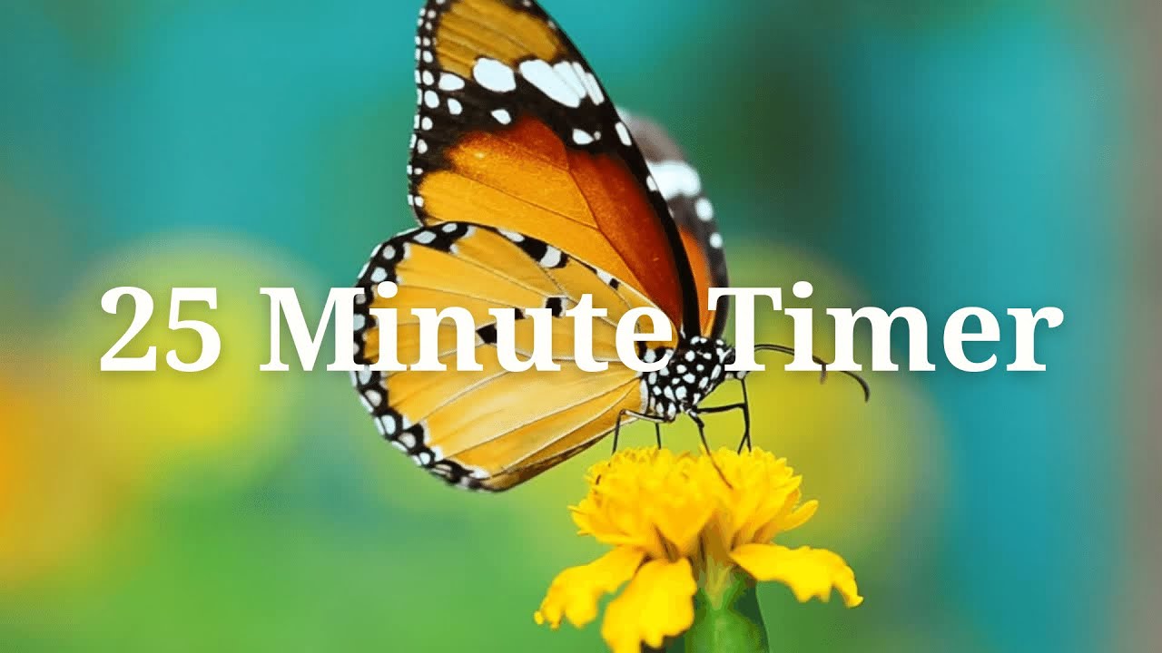 🦋 25 Minute Butterfly Timer 🦋