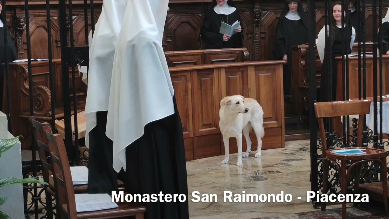 LAS MONJAS CANTANDO - Le monache cantano
