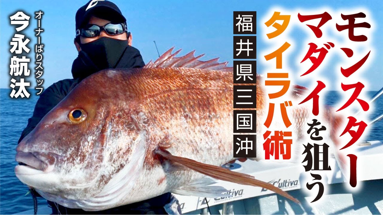 モンスターマダイを狙うタイラバ術【福井県三国沖】