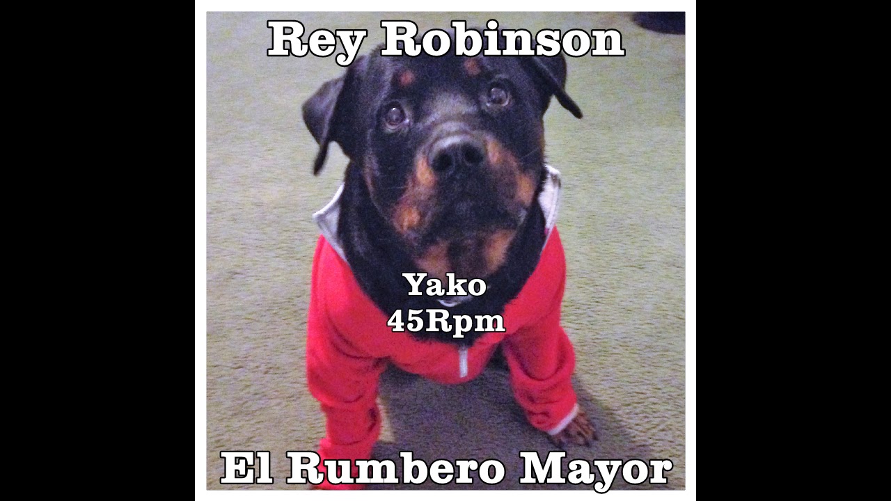 Rey Robinson=El Rumbero Mayor