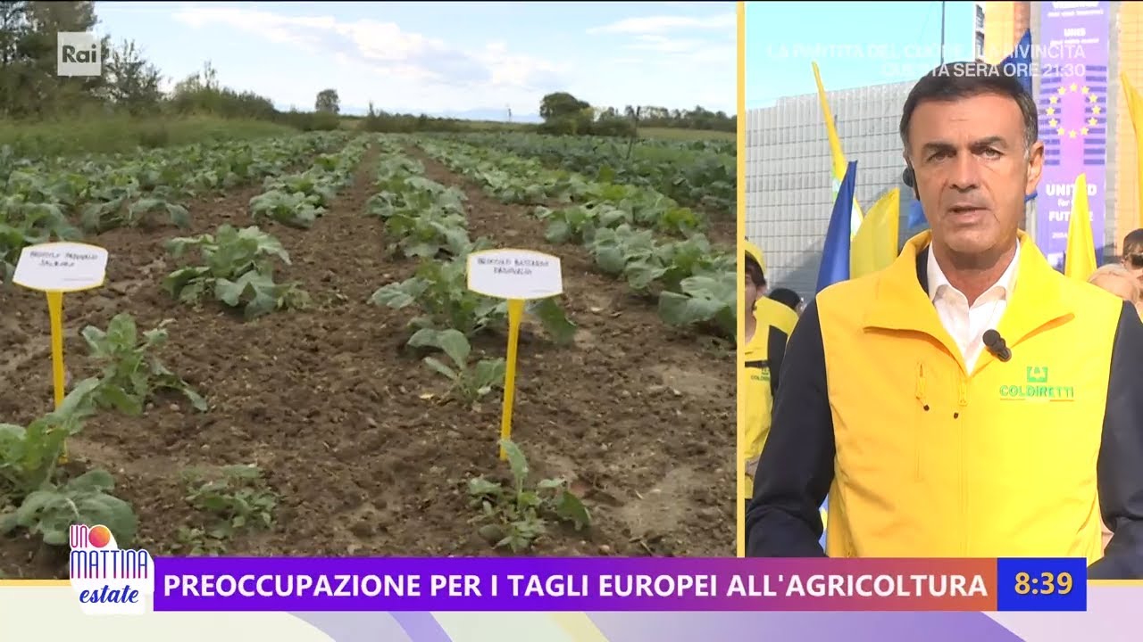 Dazi e cibo, cosa rischia la filiera alimentare? - Unomattina Estate 15/07/2025