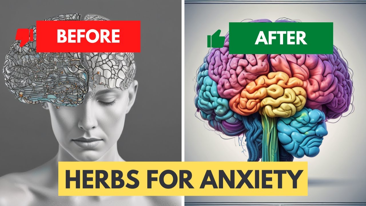 The Best Herbs for Anxiety That Work Better Than Drugs