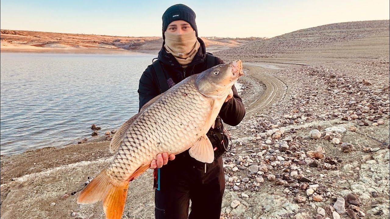 LRF/AJİ TAKIMINA GELEN DEV SAZAN - CARP FİSHİNG 
