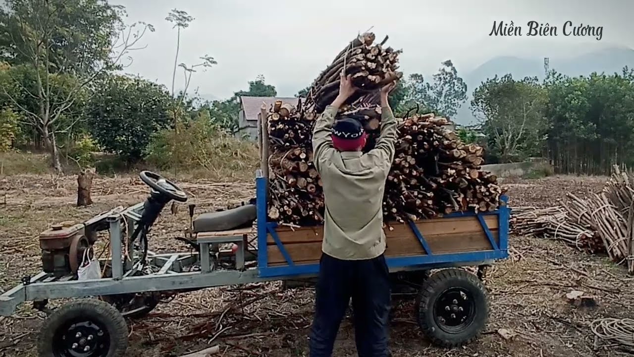 Carrying firewood by homemade vehicle Dùng xe chế chở củi