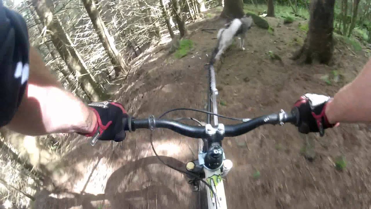 Go Pro HD Cani-VTT Downhill Husky  Extreme bike joring