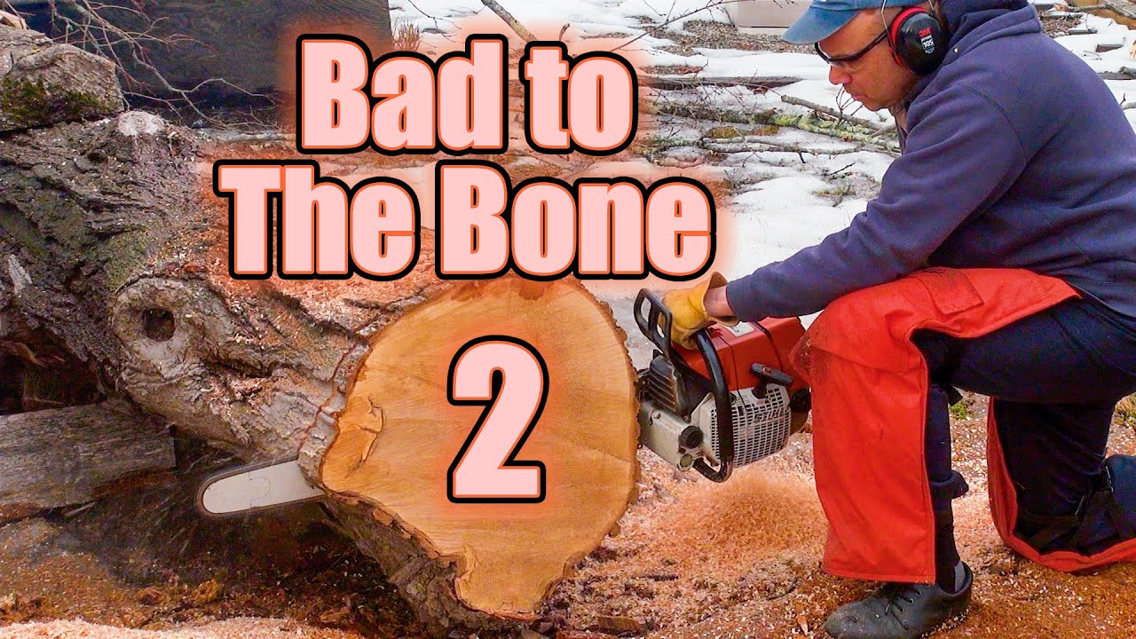 STIHL 066 | REPLACING CLUTCH SPRINGS AND GROMMET