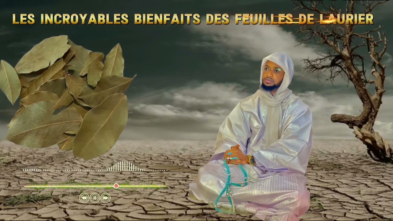 Les Bienfaits des Feuilles de Laurier