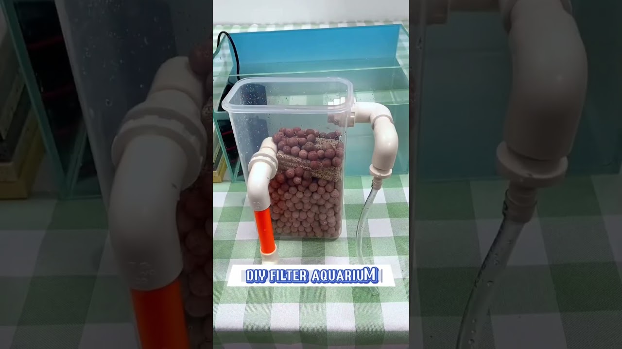 DIY Aquarium Filter  #fishkeepinghobby #diyaquariumfilter #diy #fishtankfilter #diycrafts #shorts