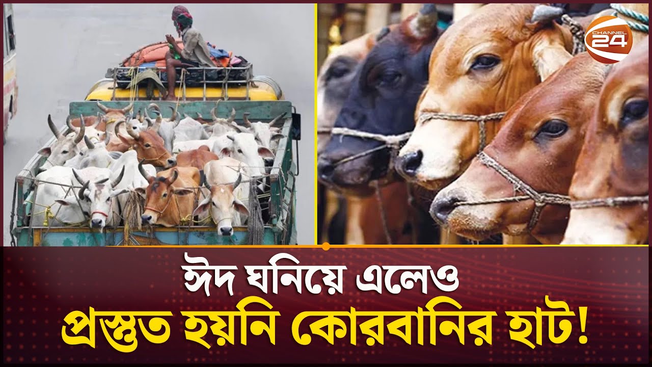 দোরগোড়ায় ঈদুল আযহা; কতটুকু প্রস্তুত ঢাকার কুরবানির হাটগুলো? | Gorur Haat | Dhaka City | Channel 24