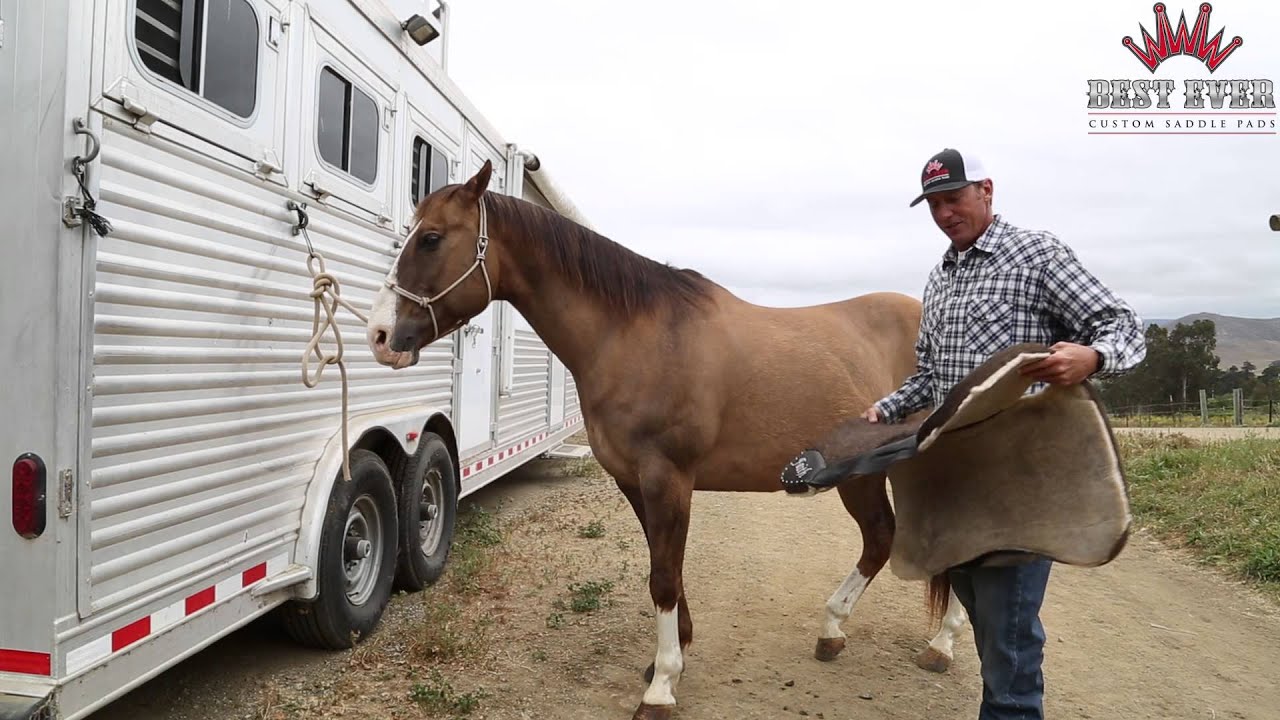 Saddle Pad Fitting - Fleece Saddle Pad