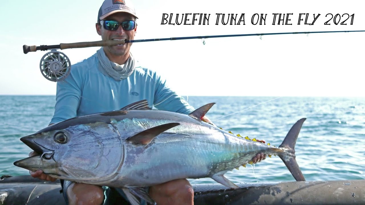 TUNA ON FLY