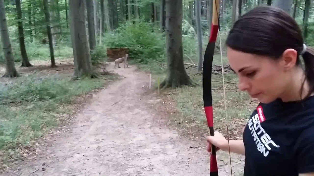 Irenental 3D archery - Parcours 2