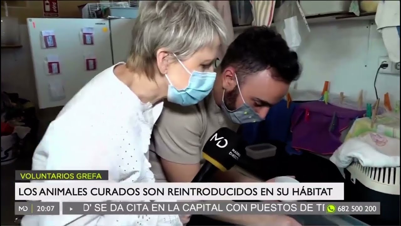 Madrid en tus Manos - Voluntarios de GREFA