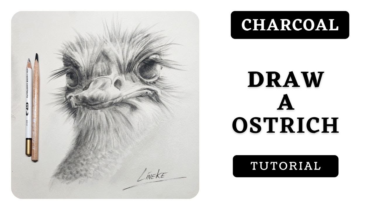 Ostrich with Charcoal