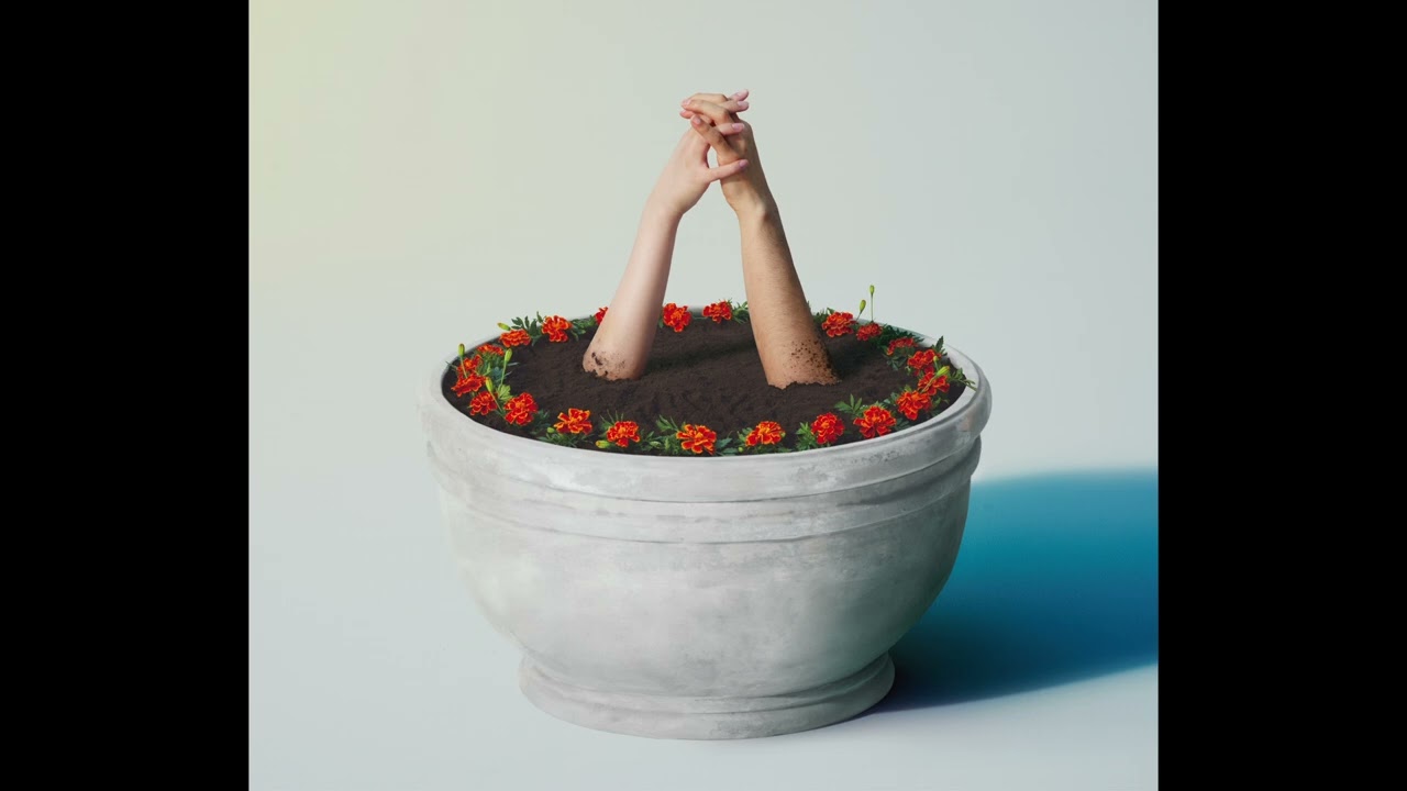 あいみょん - あなたのために (Official Audio)【#あいみょんMVリクエスト】