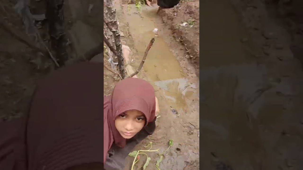 Ayo Menanam Kangkung di SDN 1 Maruyungsari