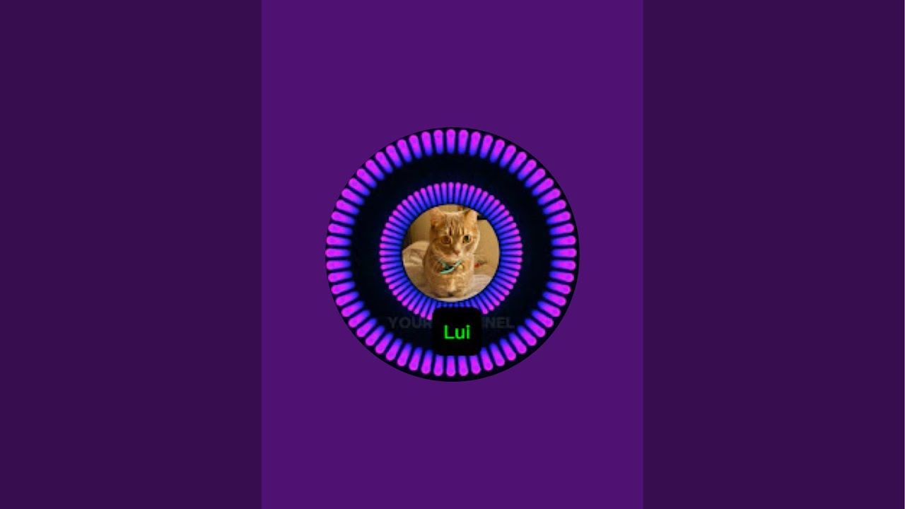 みずぎわのねこ がライブ配信中！