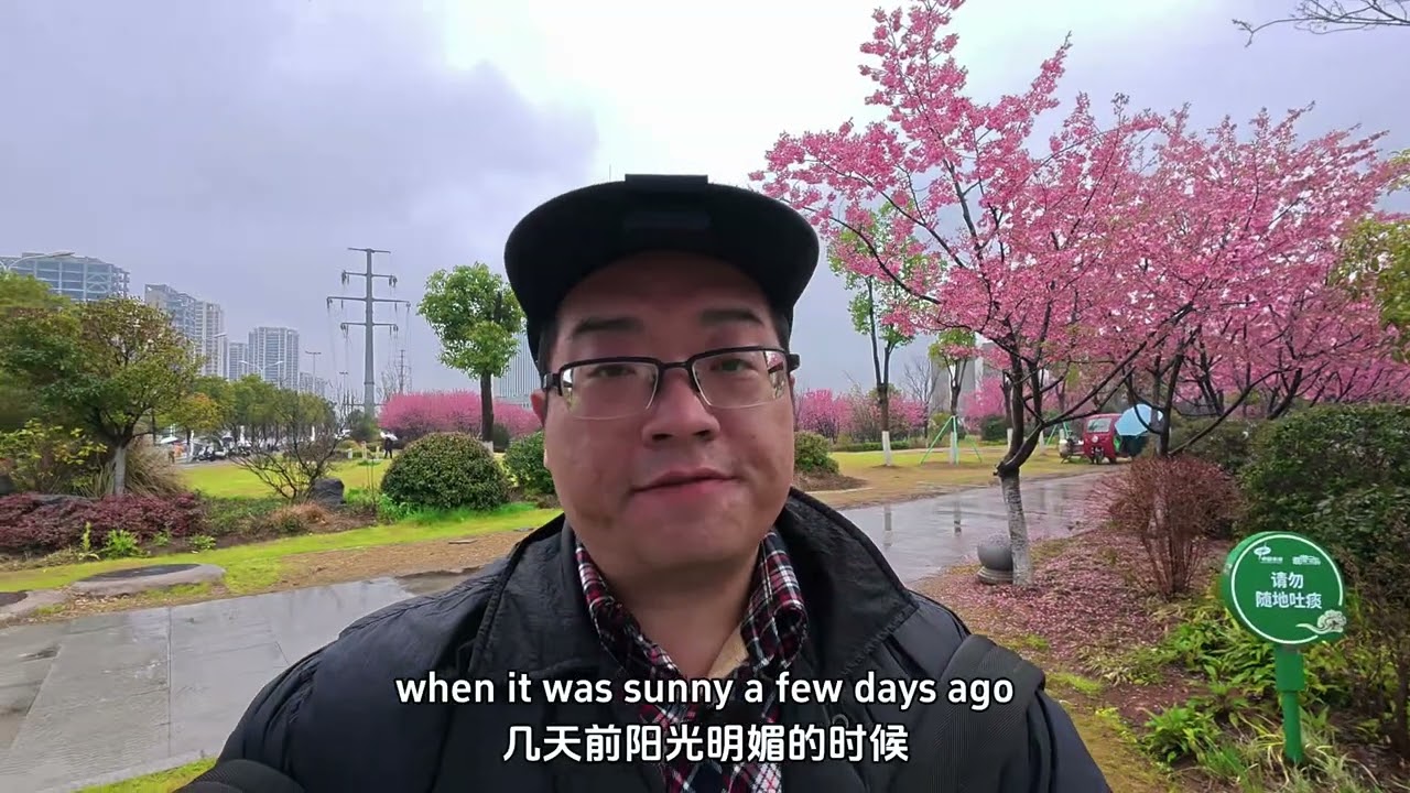 The Cherry Blossom Subway Station in the Rain雨中的樱花地铁站