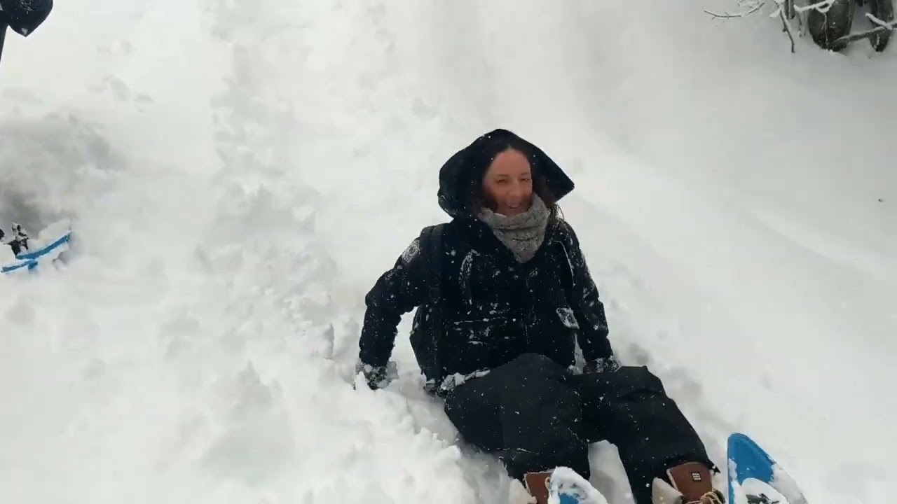 Les 2 Alpes 2026
