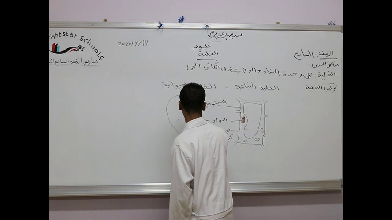 مادة العلوم للصف السابع الأساسي /  الخلية