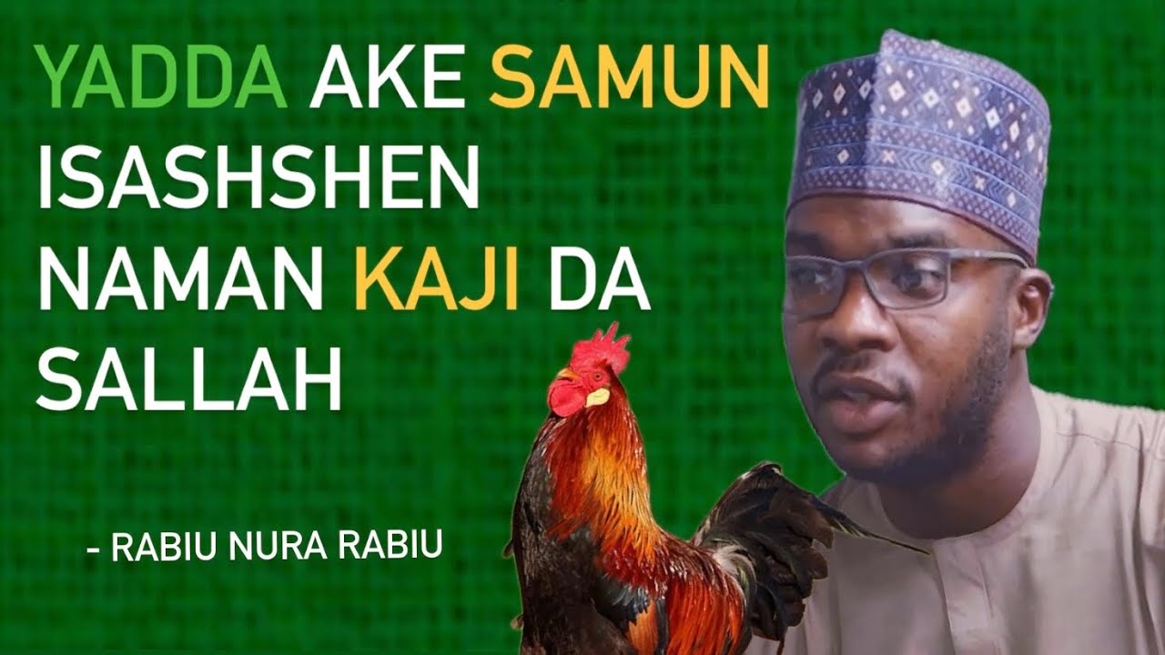 Yadda Ake Samun Isashshen Naman kaji Da Sallah | Rabiu Nura Rabiu