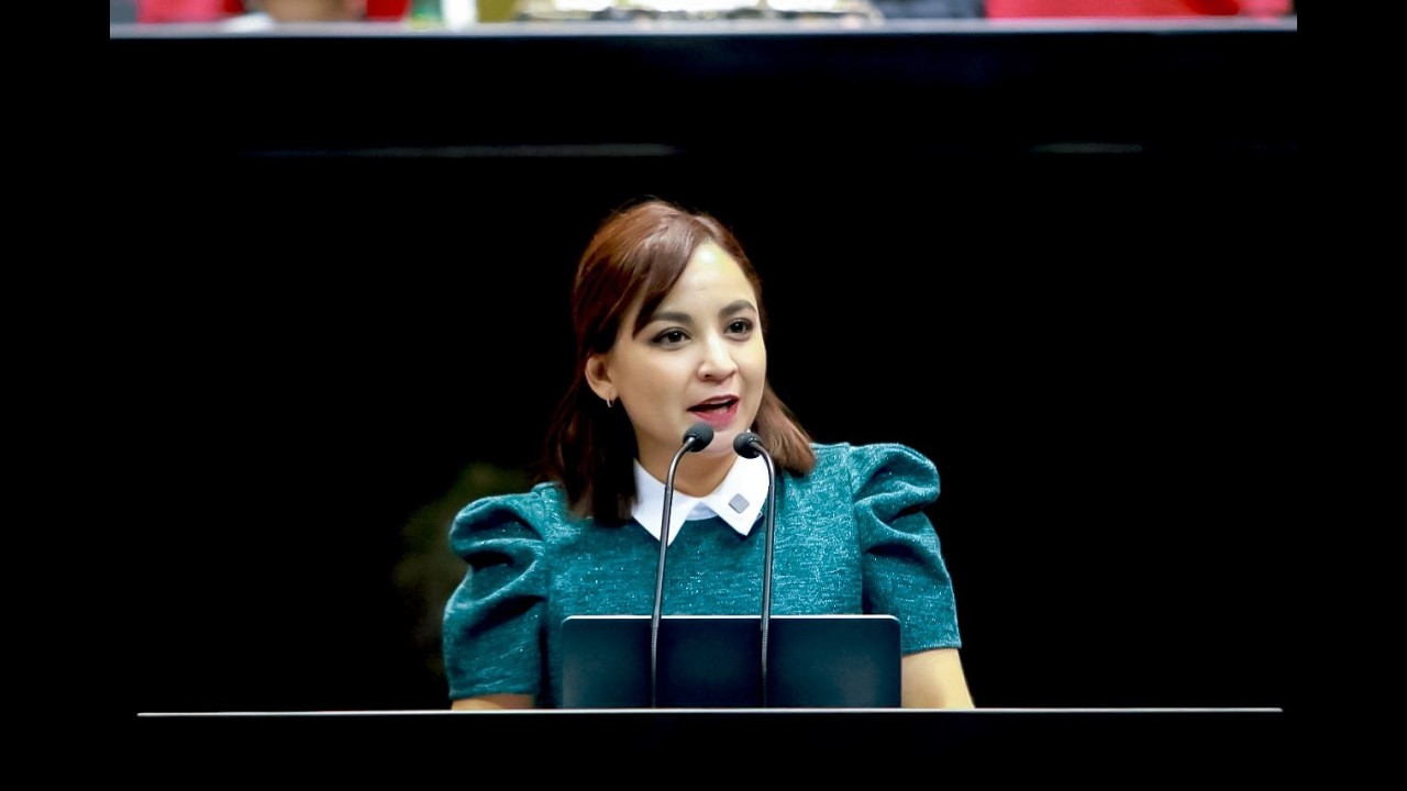 Iniciativa de Transparencia y Rendición de Cuentas en el Sistema Nacional de Salud | Iraís Reyes