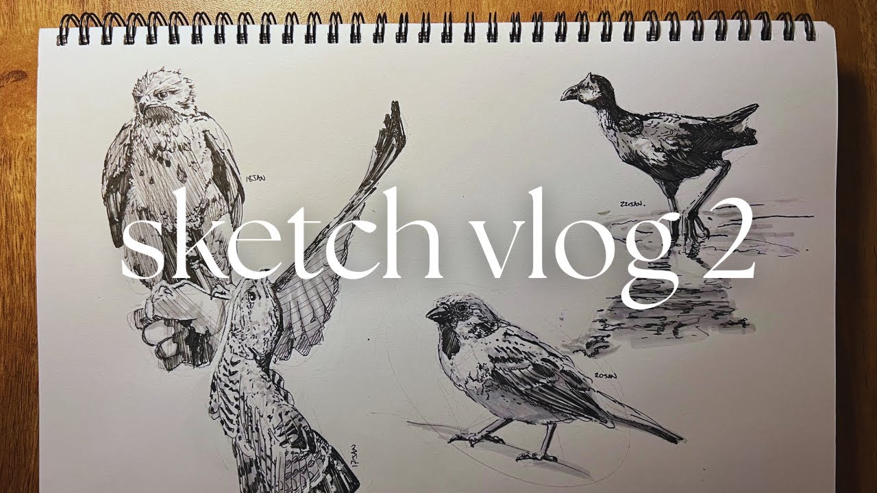 sketch vlog 2 | consistently consistent