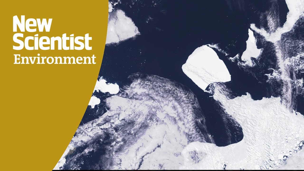 World's largest iceberg A23a tracked by satellite images
