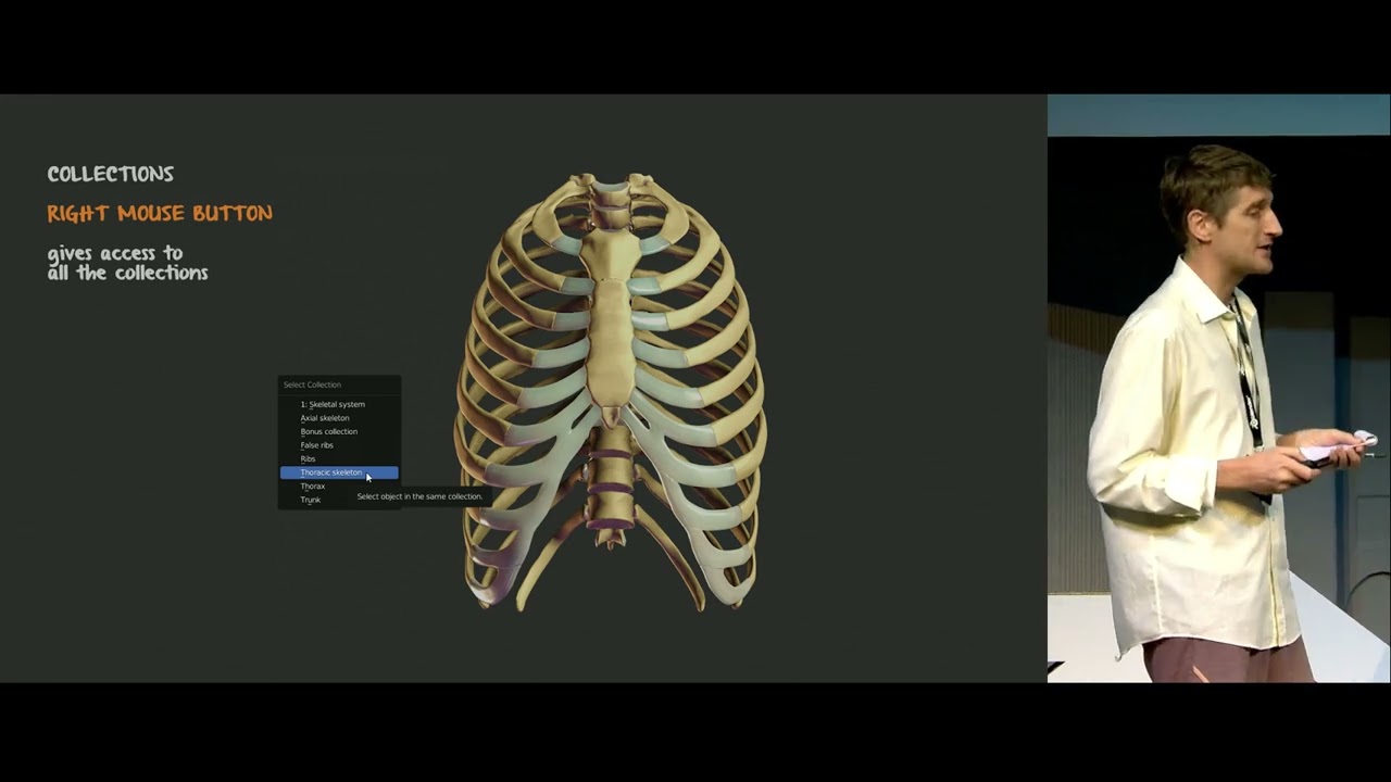 Z-Anatomy: 3D-атлас анатомии человека с открытым исходным кодом