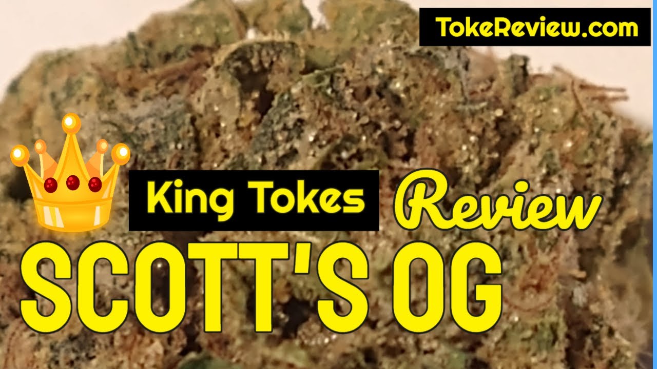 Scott's OG marijuana strain review by King Tokes