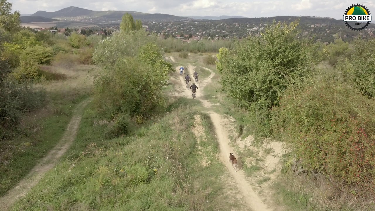 BroHill Freeride - Hungary🇹🇯