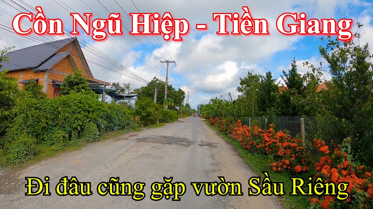 Bến Phà Tam Bình đến Chợ Ngũ Hiệp – Cồn Ngũ Hiệp | Cai Lậy – Tiền Giang 09-07-2023