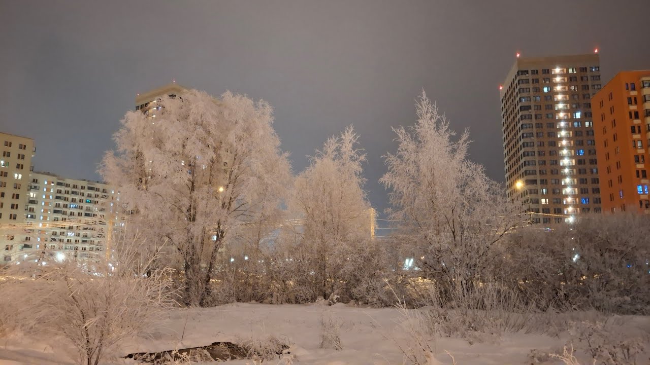 В объятиях ночи: снег, тишина и звёзды