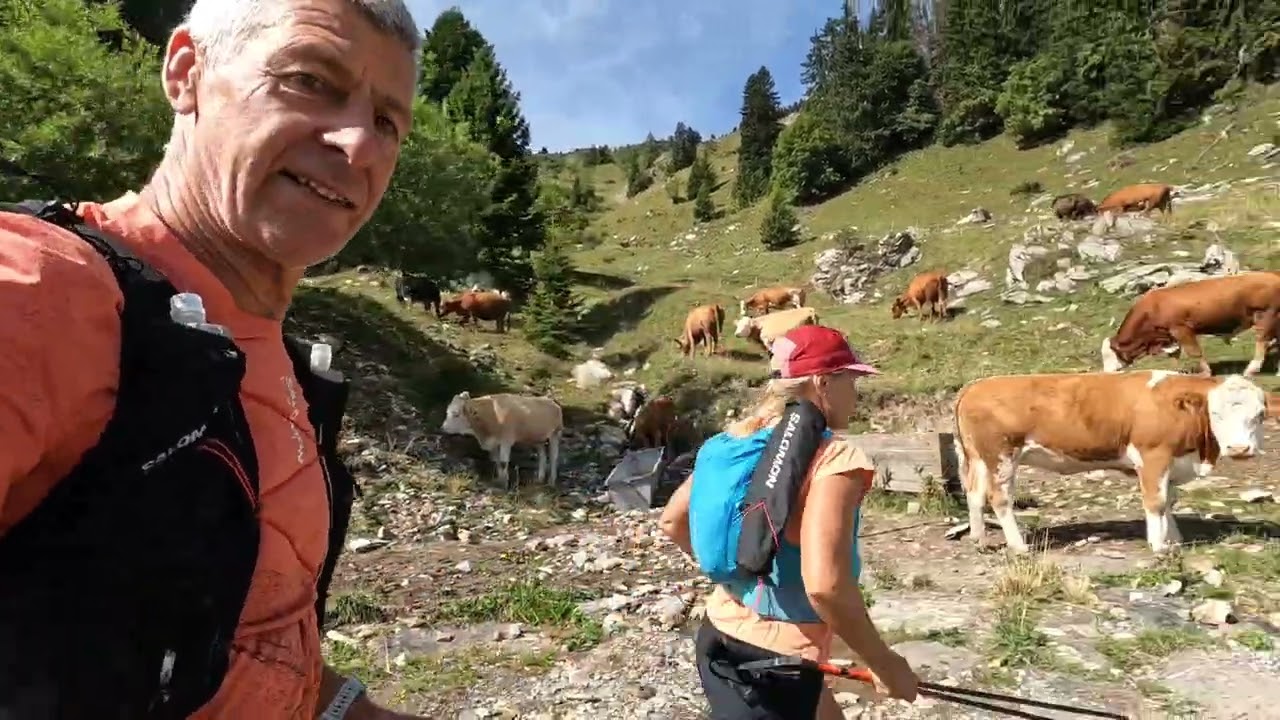 Swiss Peaks Marathon 2025