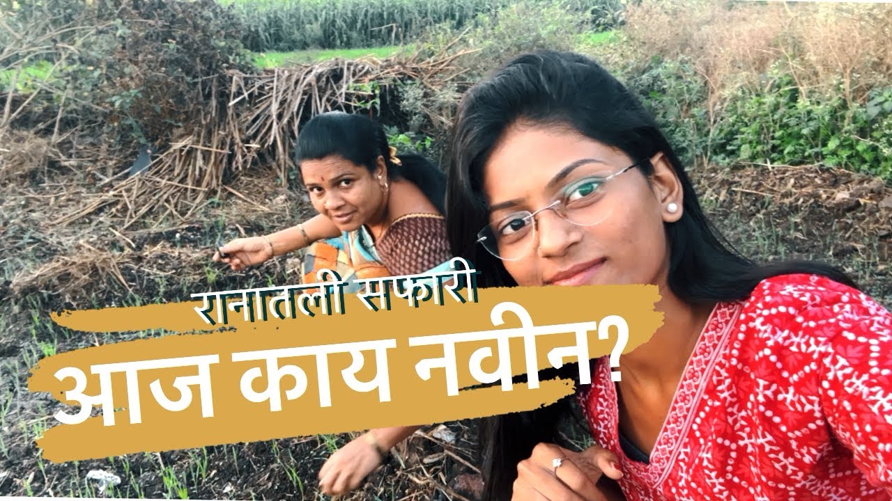 आपण लावलेला लसूण उगवला का? चला बघूयात