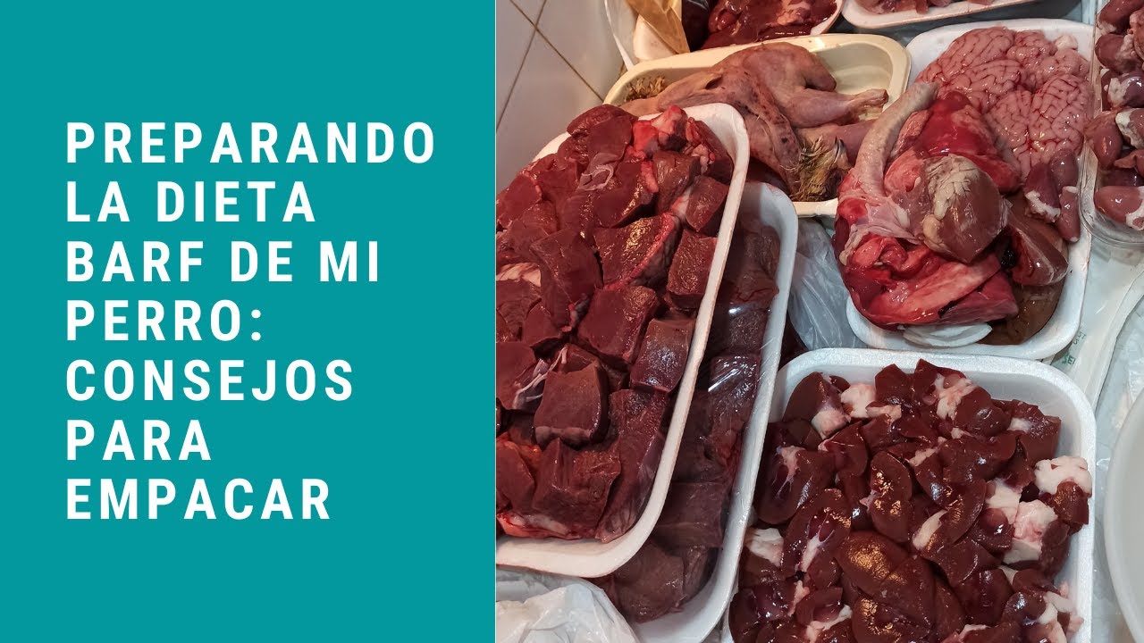 CONSEJOS PARA EMPACAR EN LA DIETA BARF | Preparando la comida de mi perro