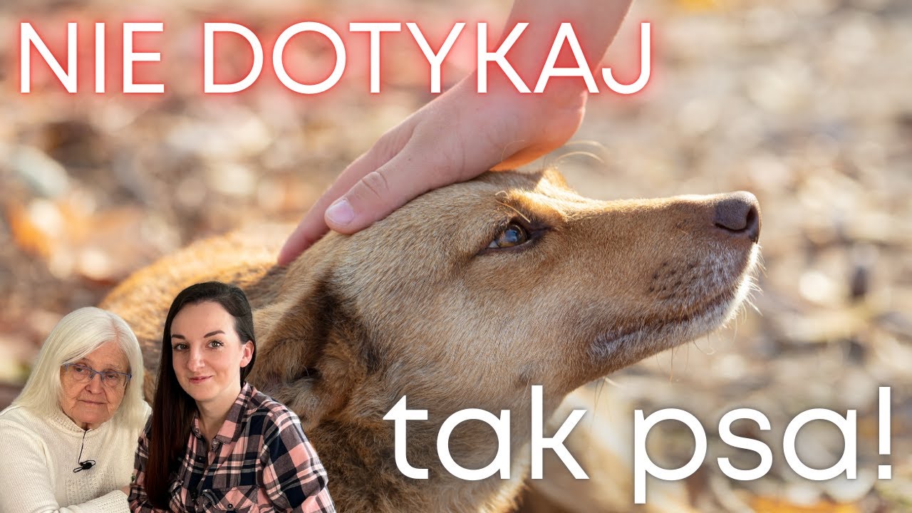 Jak NIE WOLNO dotykać psa? Częsty BŁĄD! | Rozmowy z Zofią Mrzewińską Odc. 5 | Małgorzata Smoczyńska