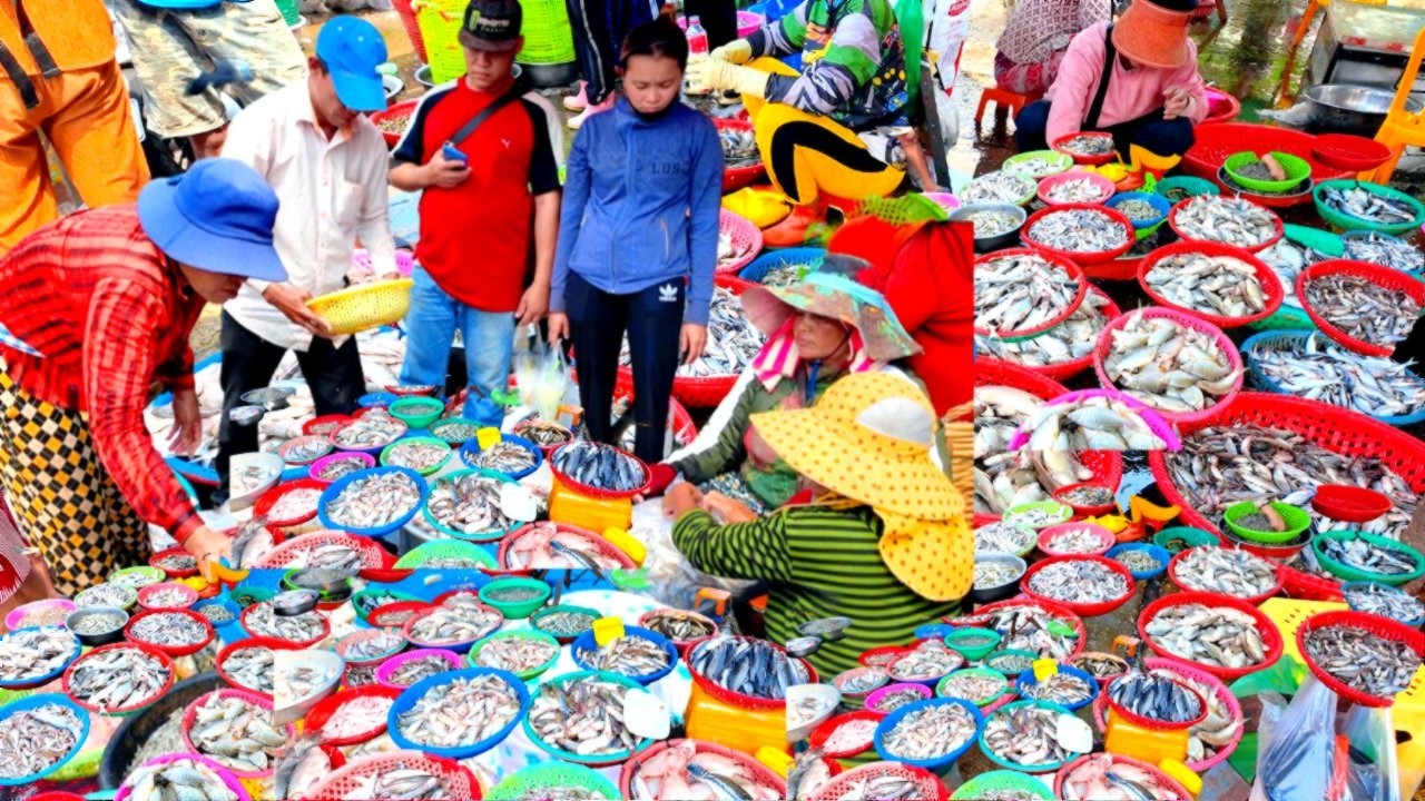 CAMBODIA’S BIGGEST Fish Market 2026! Fish Wholesale Market Tour, Fresh Fish, Lobster, Prawn & Crab