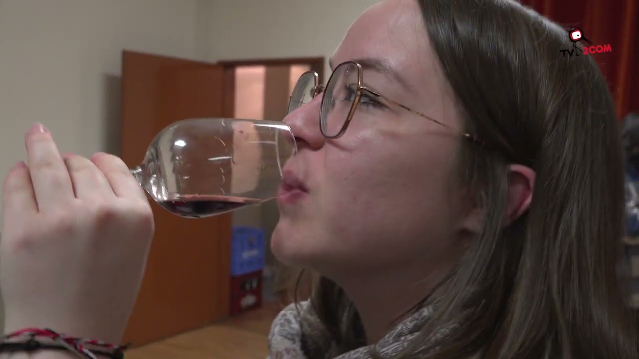 Le salon du vin à Artolsheim