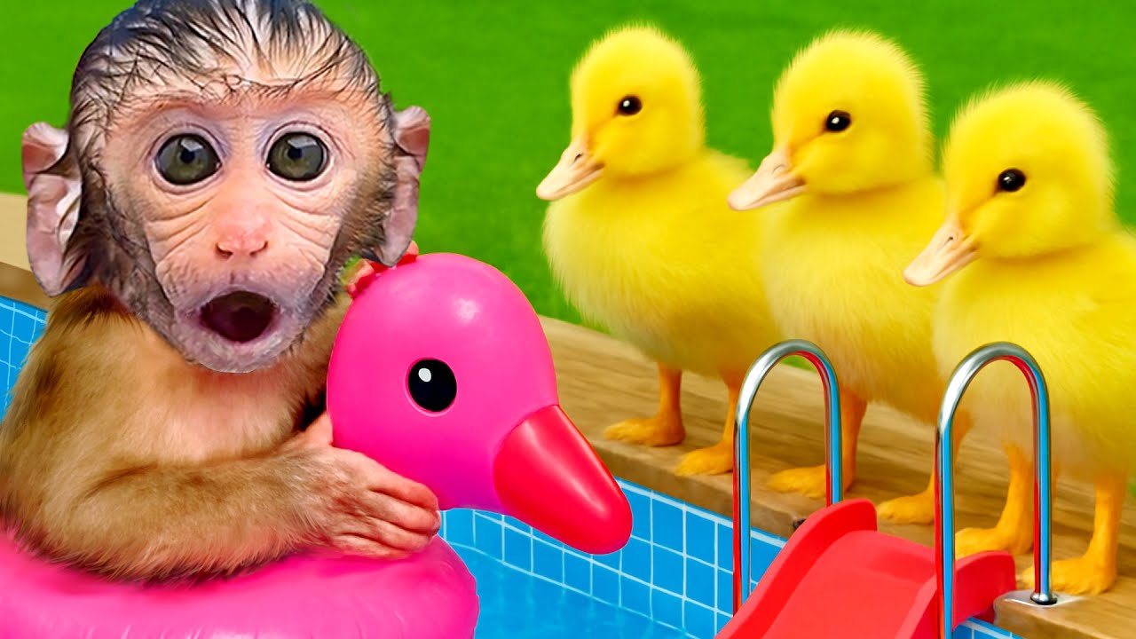 Beb&eacute; MONO BONBON rescata valientemente al patito del gran incendio - Mono Superman ESP