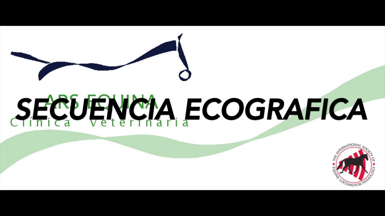 Ecografia de la babilla en caballos