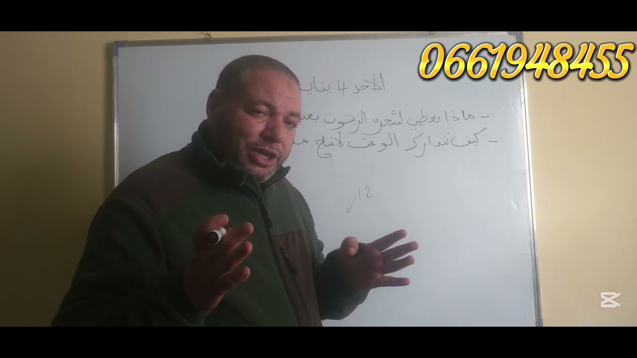 معلومات عن شجرة الزيتون حول التسميد وتدارك الموسم المقبل