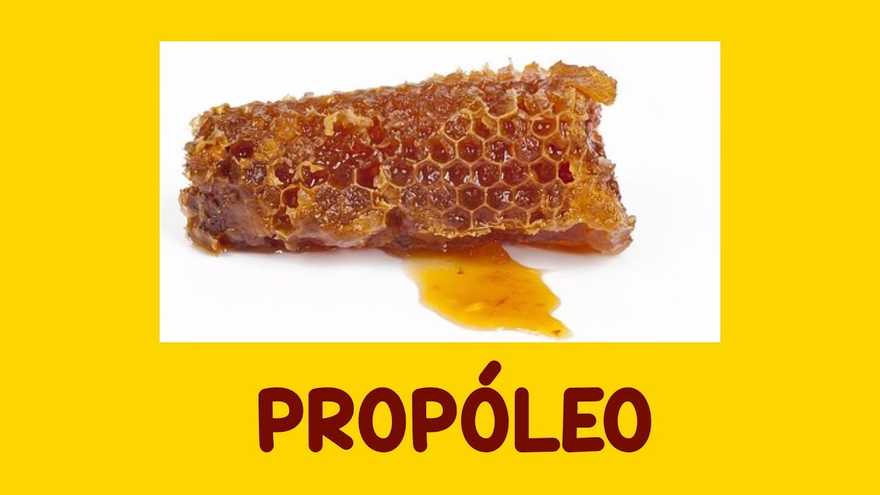 Prop&oacute;leo: Beneficios, C&Oacute;MO TOMAR, Propiedades, Para Qu&eacute; se usa  y CONTRAINDICACIONES